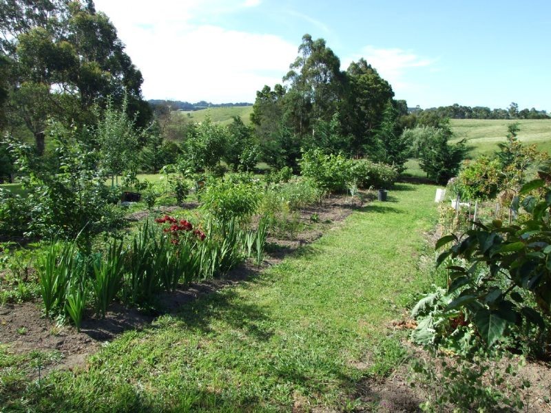 490 Clear Creek Road, Mirboo VIC 3871