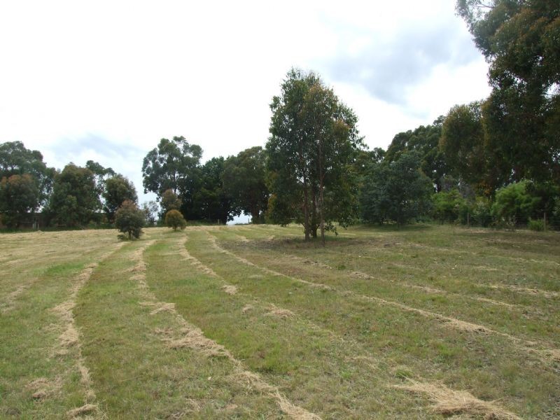 53 Balook Street, Mirboo North VIC 3871