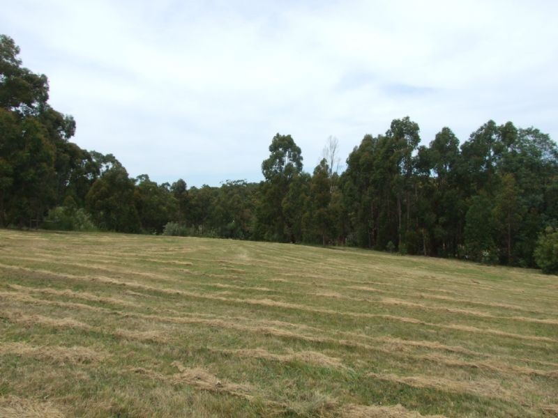 53 Balook Street, Mirboo North VIC 3871