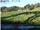 555 Central Road, Turtons Creek VIC 3960