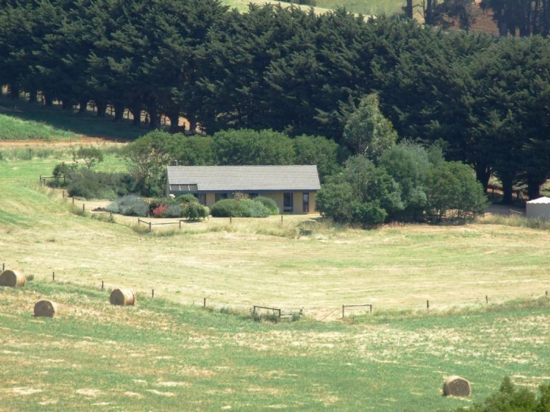 63 Walsh’s Road, Thorpdale South VIC 3824