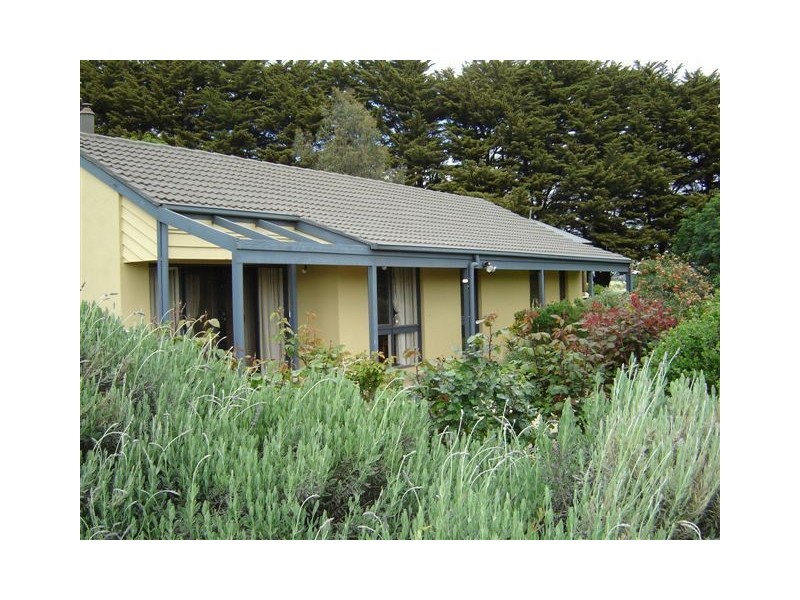 63 Walsh’s Road, Thorpdale South VIC 3824