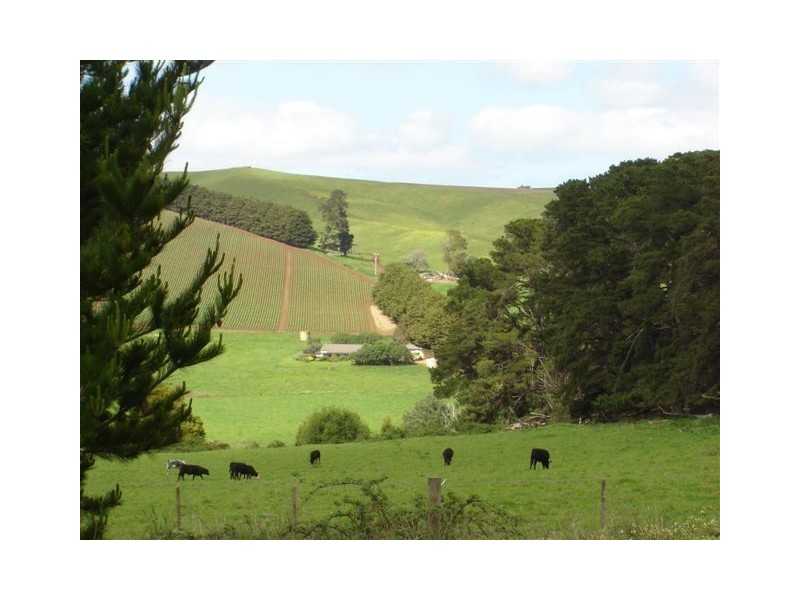 63 Walsh’s Road, Thorpdale South VIC 3824