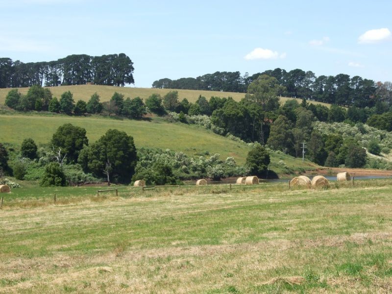 63 Walsh’s Road, Thorpdale South VIC 3824