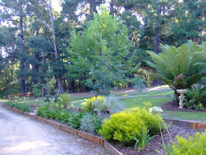 2 Old Thorpdale Road, Mirboo North VIC 3871
