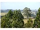 7 Castle Street, Mirboo North VIC 3871