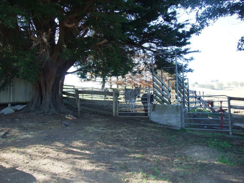 375 Grandridge Road, Mirboo North VIC 3871