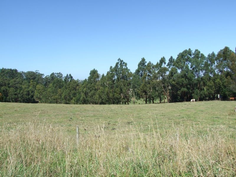 LOT 1 Castle Street, Mirboo North VIC 3871