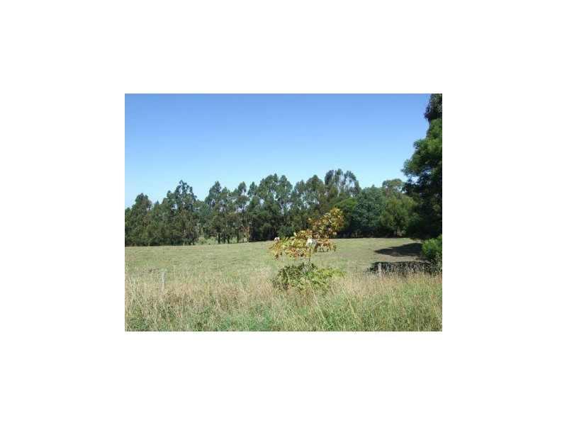 LOT 1 Castle Street, Mirboo North VIC 3871