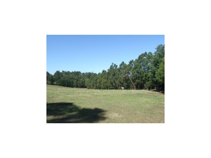 LOT 1 Castle Street, Mirboo North VIC 3871