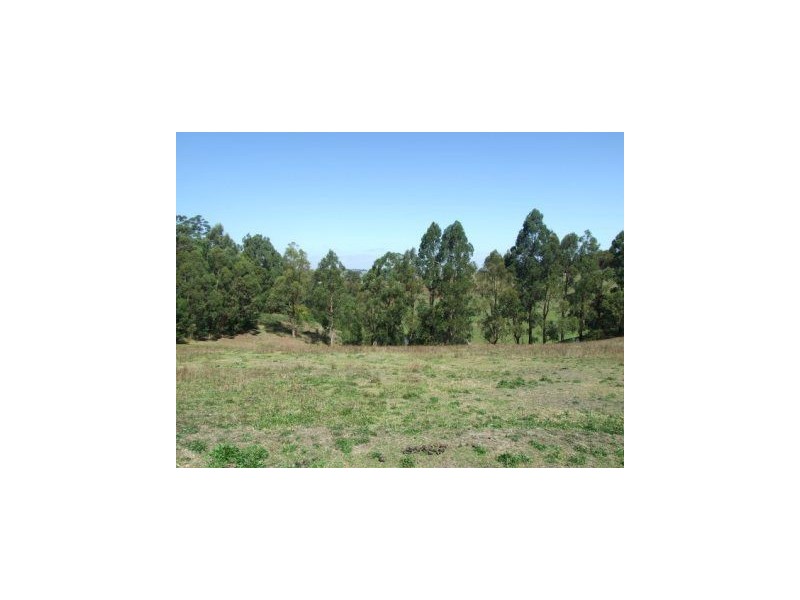 LOT 3 Castle Street, Mirboo North VIC 3871