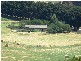 63 Walshs Road, Thorpdale South VIC 3824
