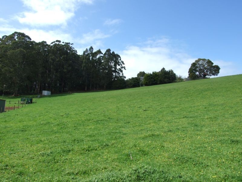 Lot 12 Nilan Drive, Mirboo North VIC 3871