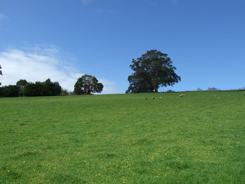 Lot 12 Nilan Drive, Mirboo North VIC 3871