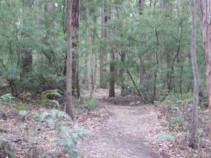 Lot Macintoshs Road, Boolarra VIC 3870