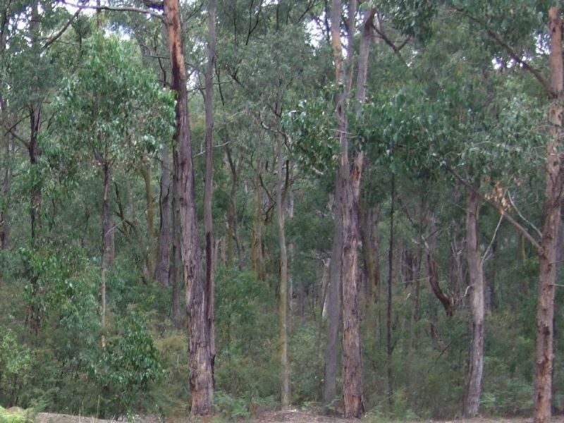 Lot Macintoshs Road, Boolarra VIC 3870