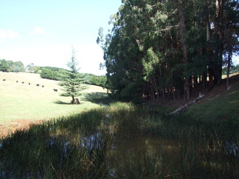 490 Fishers Road, Boolarra South VIC 3870