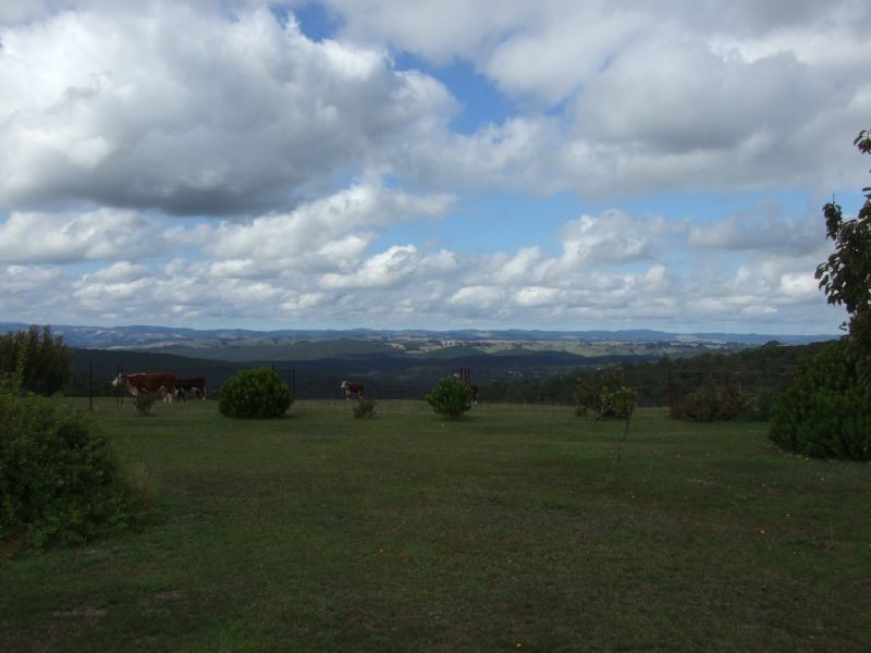 630 Old Thorpdale Road, Mirboo North VIC 3871