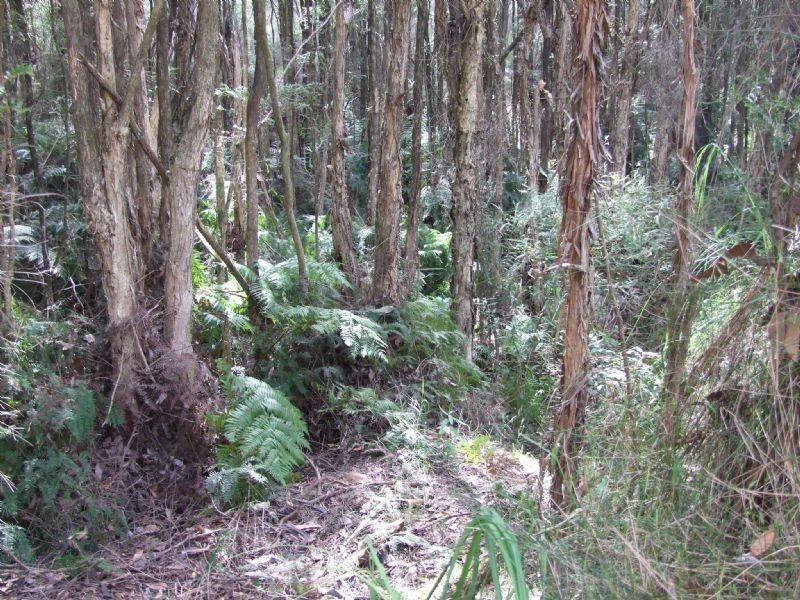 9 Jordan Way, Mirboo North VIC 3871