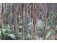 9 Jordan Way, Mirboo North VIC 3871