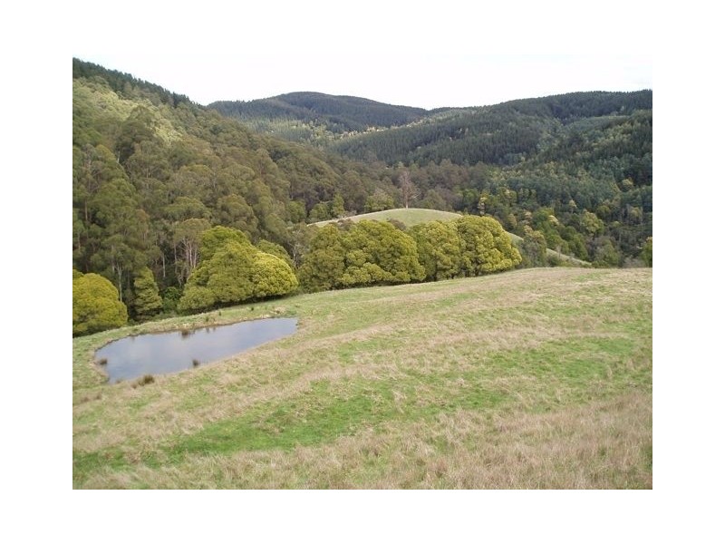 1344 Mirboo-Yarragon Road, Mirboo North VIC 3871