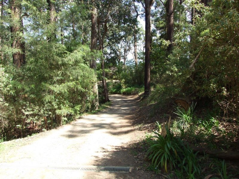 105 Pines Road, Mirboo North VIC 3871