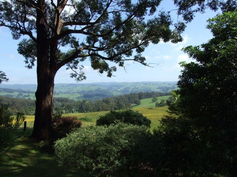 105 Pines Road, Mirboo North VIC 3871