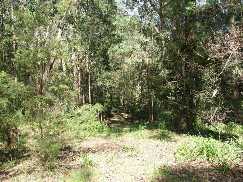 105 Pines Road, Mirboo North VIC 3871