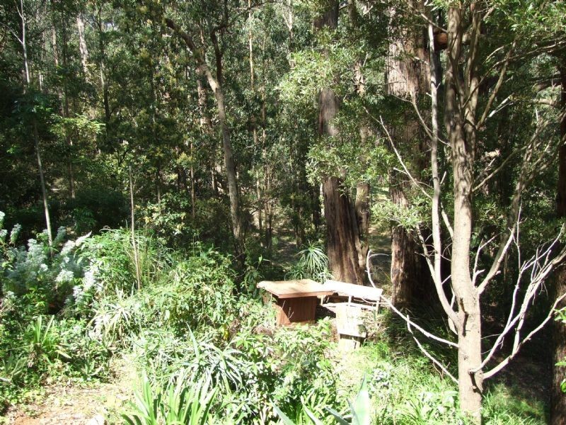 105 Pines Road, Mirboo North VIC 3871