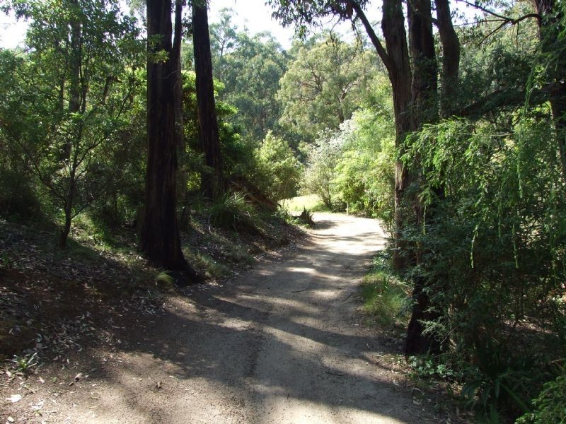 105 Pines Road, Mirboo North VIC 3871