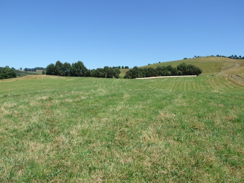 445 Fox & Fanckes Road, Boolarra South VIC 3870