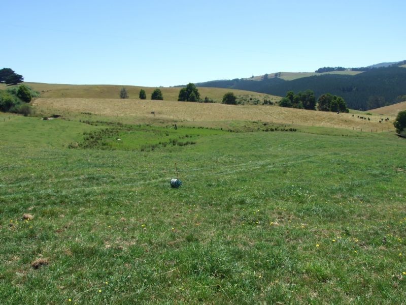 445 Fox & Fanckes Road, Boolarra South VIC 3870