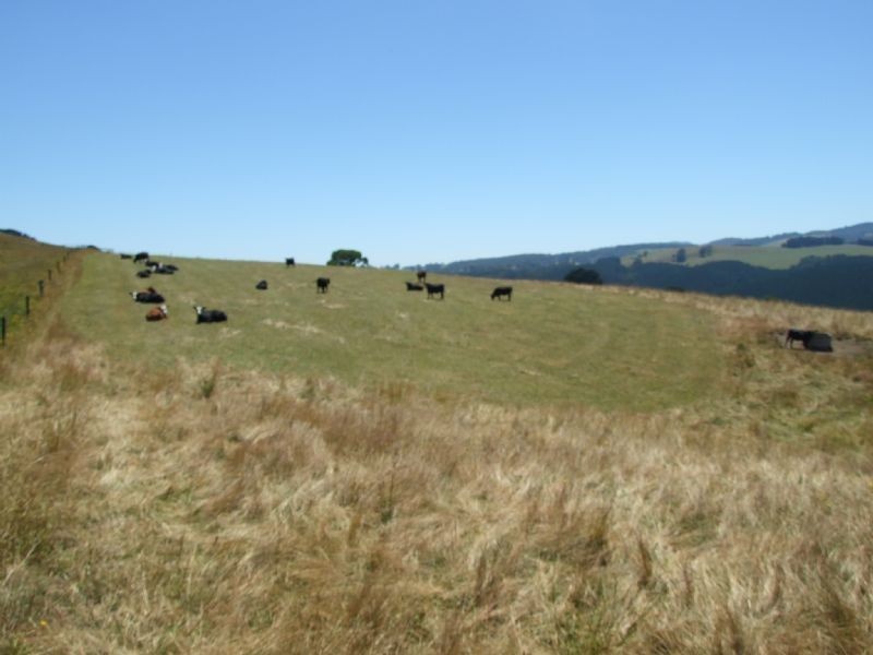 445 Fox & Fanckes Road, Boolarra South VIC 3870