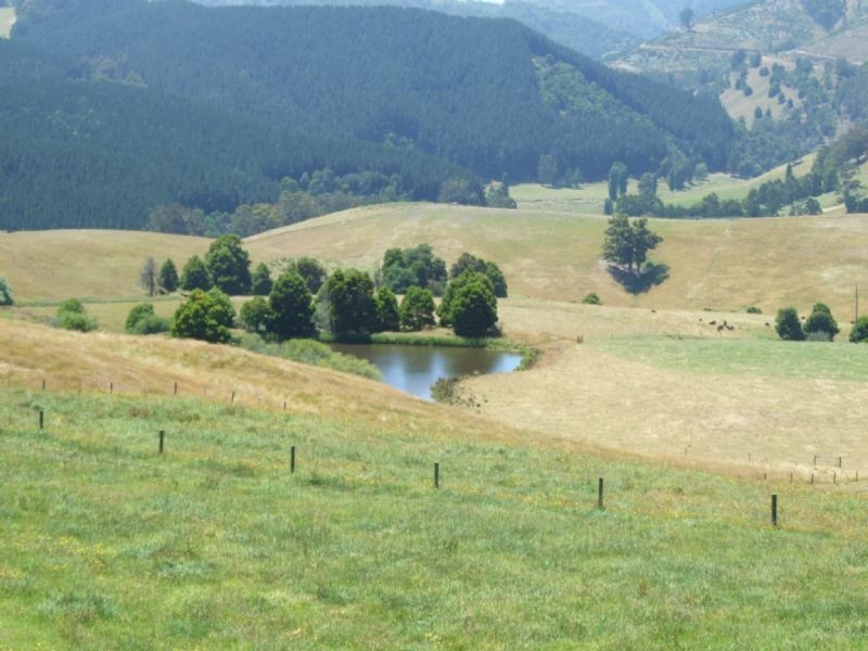 445 Fox & Fanckes Road, Boolarra South VIC 3870