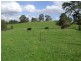 370 Mirboo South Road, Mirboo VIC 3871