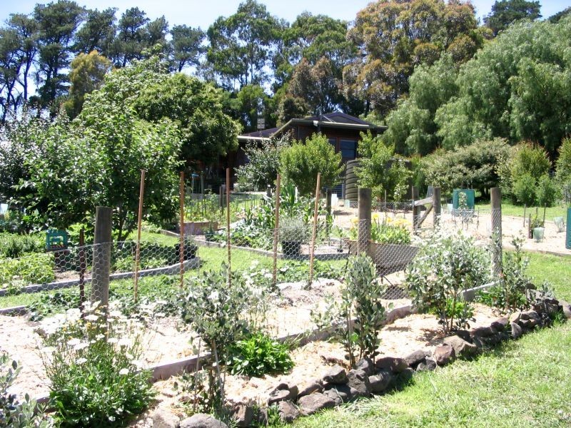 55 Munros Road, Mirboo North VIC 3871