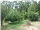 2535 Meeniyan-Mirboo Road, Mirboo North VIC 3871