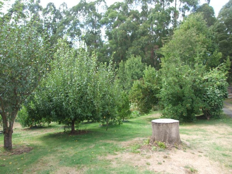 2535 Meeniyan-Mirboo Road, Mirboo North VIC 3871