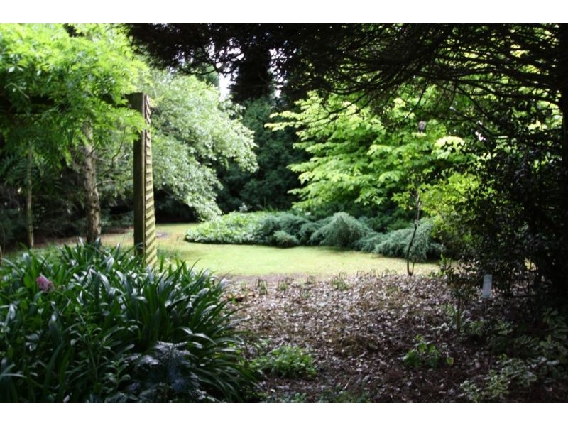 1435 Mardan Road, Mardan VIC 3953