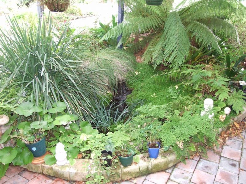 24 Balding Street, Mirboo North VIC 3871