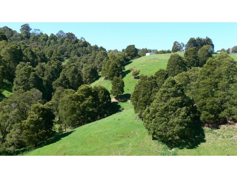 1665 Leongatha Yarragon Road, Hallston VIC 3953