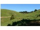 1665 Leongatha Yarragon Road, Hallston VIC 3953