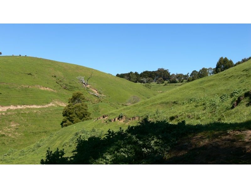 1665 Leongatha Yarragon Road, Hallston VIC 3953