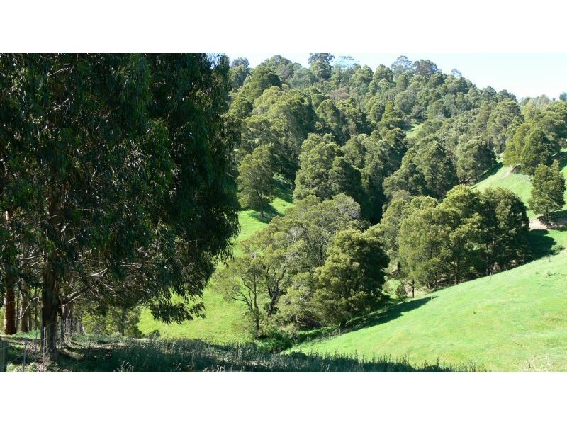 1665 Leongatha Yarragon Road, Hallston VIC 3953