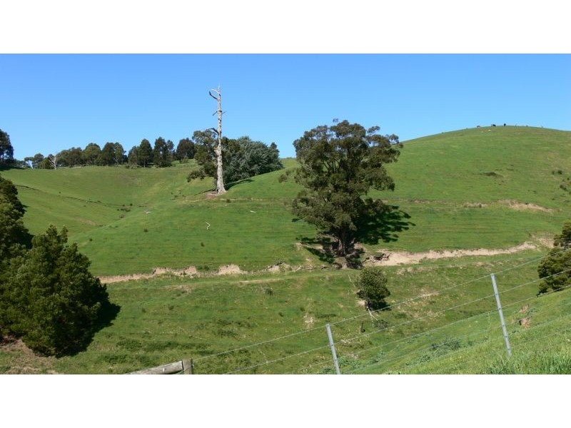 1665 Leongatha Yarragon Road, Hallston VIC 3953