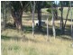 375 Holmes Road, Mardan VIC 3953