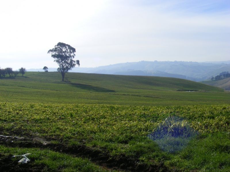 685 Fairbank Road, Leongatha VIC 3953