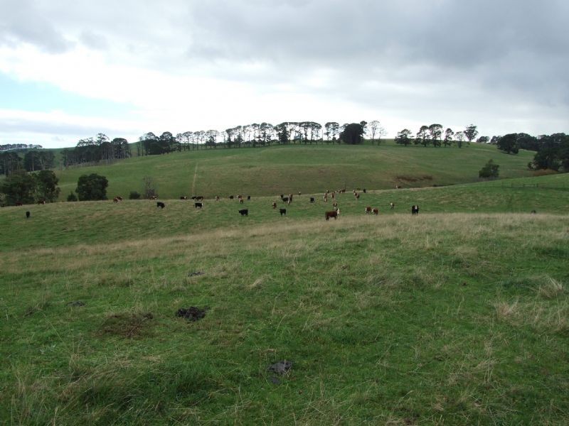 18 Bickertons Lane, Mirboo North VIC 3871