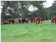 18 Bickertons Lane, Mirboo North VIC 3871