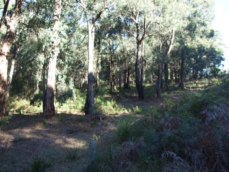 Lot 18 Golf Links Road, Mirboo North VIC 3871